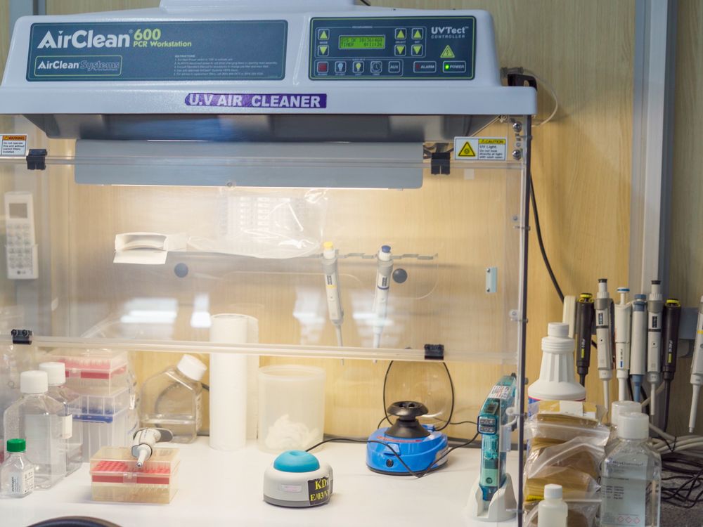 Clean air cabinet with laboratory consumables