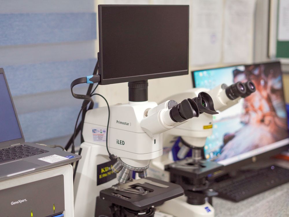 Microscope workstation with a screen showing a sample